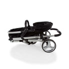 Black Classic - CAX00464