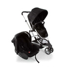 Black Classic - CAX00464