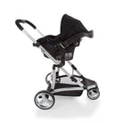 Black Classic - CAX00464