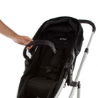 Black Classic - CAX00464