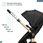 Preto Ouro - IMP02547