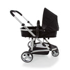 Black Classic - CAX00464