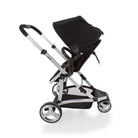 Black Classic - CAX00464